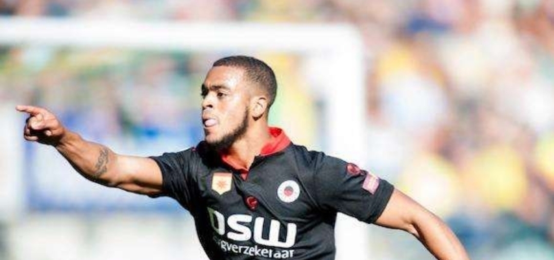 不少分析师 不少分析师