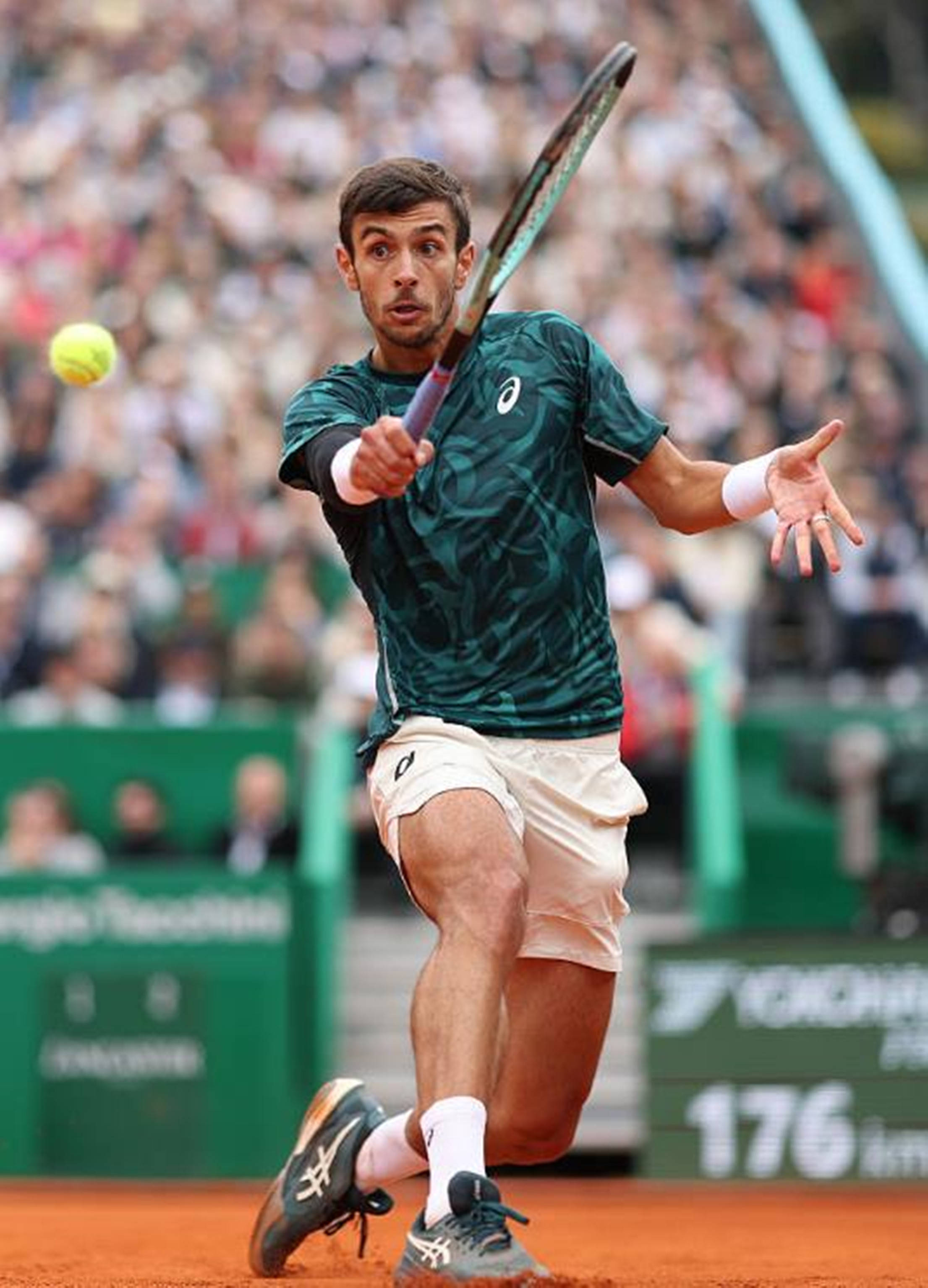 能够显著提 能够显著提