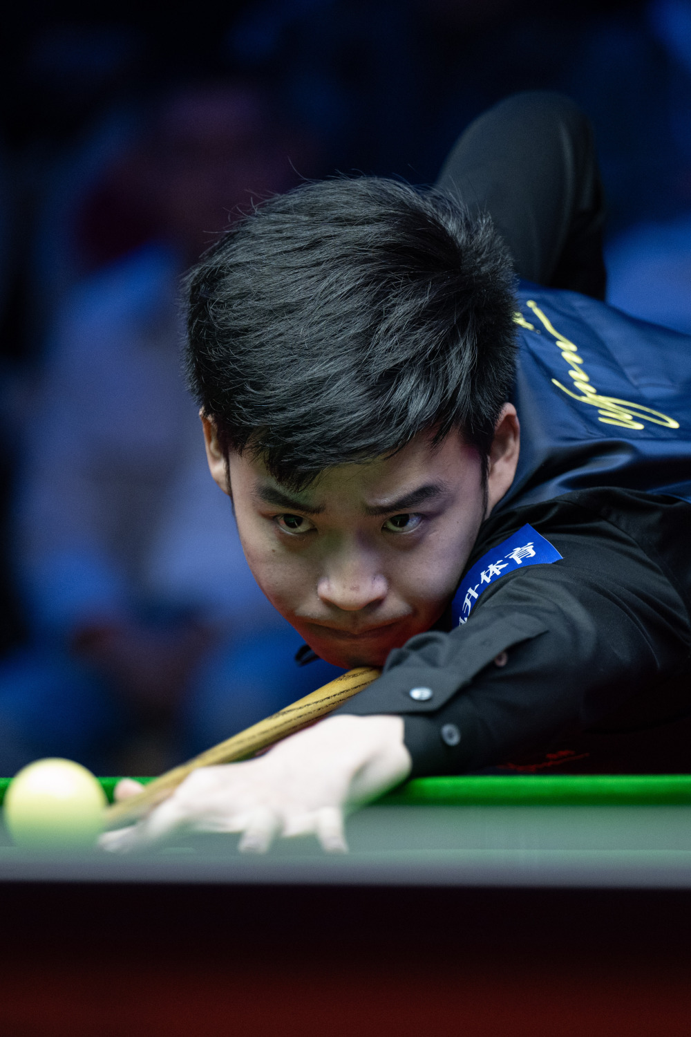 公示显示 公示显示